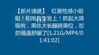 25部高级商场里的小姐姐入厕视频 各种风情有制服有情趣 撩人性奋啊