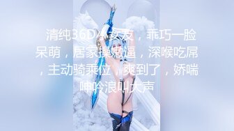 探花赵公子-猛干乖巧纯欲系少女