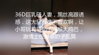 新来的女仆（2）