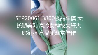 STP20061 3800极品车模 大长腿美乳 高冷女神被文轩大屌征服 高品质观赏佳作