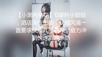 麻豆传媒 MCY-0027《空姐女友被强暴》-苏清歌