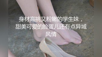 麻豆傳媒&amp;澀會傳媒SH-012合租的陌生人-吳心語