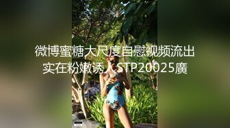 桃良阿宅 女仆的小憩