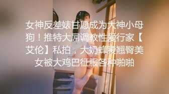 女神反差婊甘愿成为大神小母狗！推特大屌调教性爱行家【艾伦】私拍，大奶蜂腰翘臀美女被大鸡巴征服各种啪啪