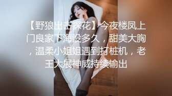 【野狼出击探花】今夜楼凤上门良家下海没多久，甜美大胸，温柔小姐姐遇到打桩机，老王大展神威持续输出