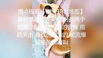 【重磅】秀人女神【杨晨晨】26最新尺度升级无内肉丝凸点，可怜的晨晨被修理工一把扯出罩罩