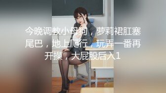 兔子先生TZ-158深夜电车痴女梦