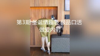 玩老婆的BB2