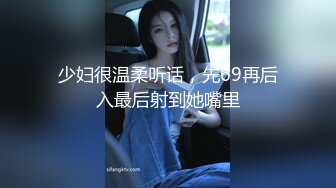 驾车上门找服务小姐姐  粉色包臀裙长腿大奶  埋头口交镜头前深喉