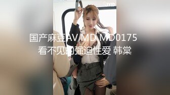 国产麻豆AV MD MD0175 看不见的强迫性爱 韩棠