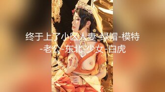 绝对领域 LY039 与曾经暗恋的女神共度春宵极品少妇离婚后与我的邂逅