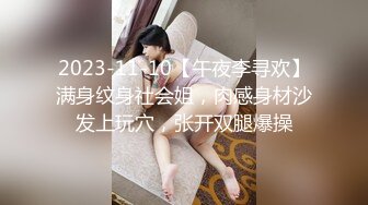 2023-11-10【午夜李寻欢】满身纹身社会姐，肉感身材沙发上玩穴，张开双腿爆操