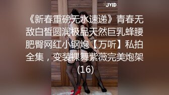 STP30036 國產AV 精東影業 JDBC022 美女空姐求我幫她止癢 李允熙