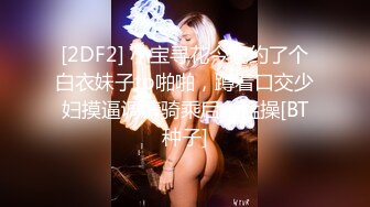 国产麻豆AV MD MD0063 女優面試員 袁庭妮