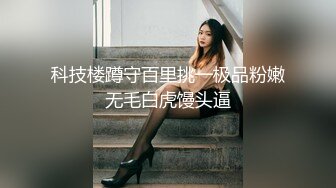 AI绘画 人工智能 SSS级模型模拟真人 丁香姑娘 旗袍 国风 无修正