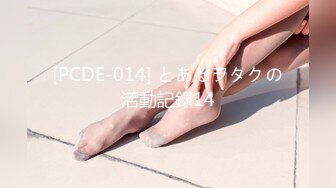 [PCDE-014] とあるヲタクの活動記録14