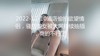 2022-12-10酒店偷拍欲望情侣，骚货美女被大屌持续抽插，爽的不行了