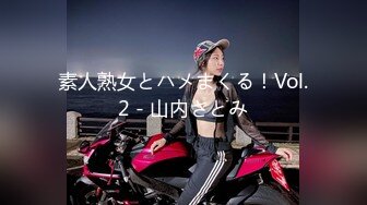 素人熟女とハメまくる！Vol.2 - 山内さとみ