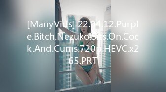 HEYZO 1375 美痴女～スケベ女の極上腰使い～ – 雨音わかな