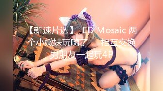 【小鸟酱专题】大尺度COS系列【星奈奈X蕾姆】.mp4