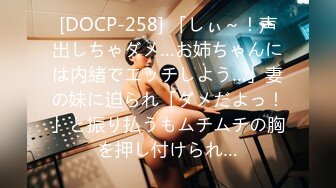 [DOCP-258] 「しぃ～！声出しちゃダメ…お姉ちゃんには内緒でエッチしよう…」妻の妹に迫られ「ダメだよっ！」と振り払うもムチムチの胸を押し付けられ…