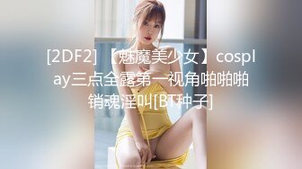 偷情95大奶黑丝小少妇