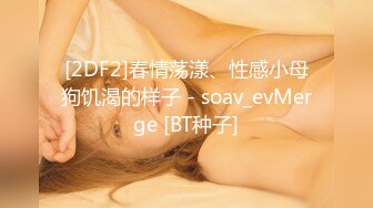 [2DF2]春情荡漾、性感小母狗饥渴的样子 - soav_evMerge [BT种子]