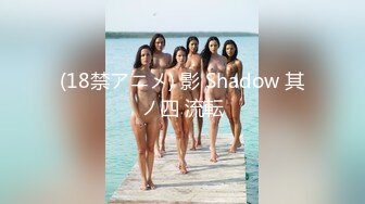 (18禁アニメ) 影 Shadow 其ノ四 流転