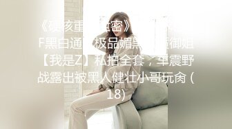 网调女奴2